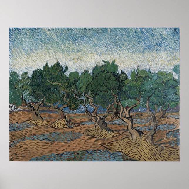 Van Gogh - Olive Grove Poster (Framsidan)