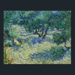 Van Gogh - Olive Orchard Poster<br><div class="desc">Olive Orchard av Vincent Van Gogh. Om du vill ha mer bilder från Zedign Art Series Bok 38 "Vincent Van Gogh - Paintings & Teckning Vol 3" kan du besöka https://books.zedign.com/zas/38.html</div>