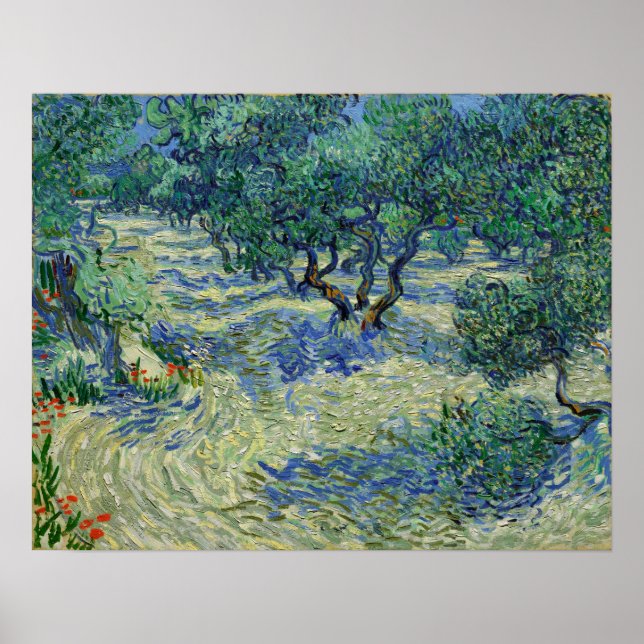 Van Gogh - Olive Orchard Poster (Framsidan)