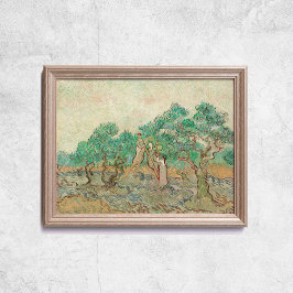 Van Gogh, Olive Orchard Träd Old Art Poster