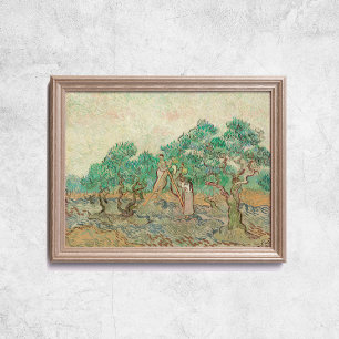 Van Gogh, Olive Orchard Träd Old Art Poster