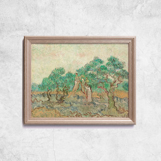 Van Gogh, Olive Orchard Träd Old Art Poster