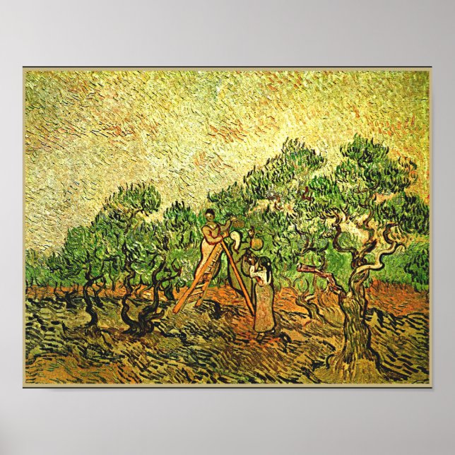 Van Gogh - Olive Träd, bra konsmålning Poster (Framsidan)