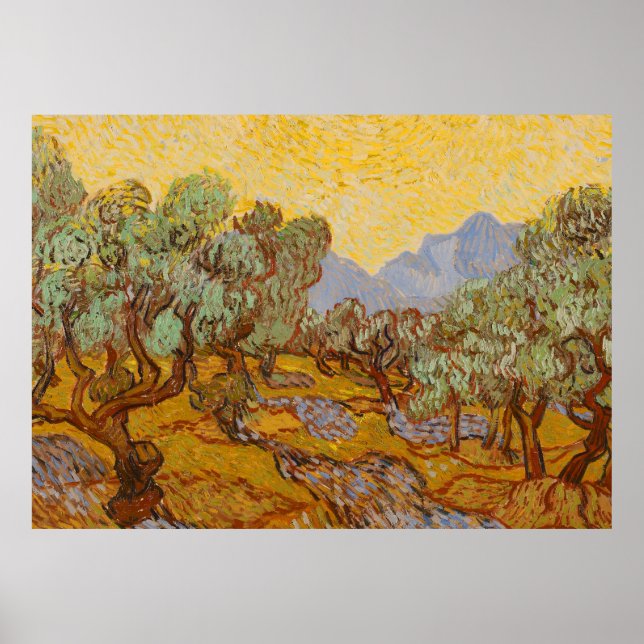 Van Gogh Olive Träd Gult Sol Himlar Poster (Framsidan)