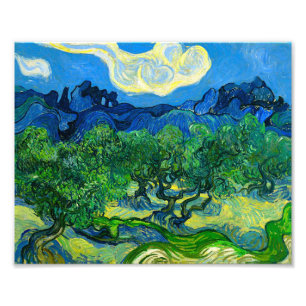Van Gogh Olive Träd i ett bergslandskap Fototryck