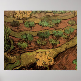 Van Gogh Olive Träd mot en Slope i Backe Poster
