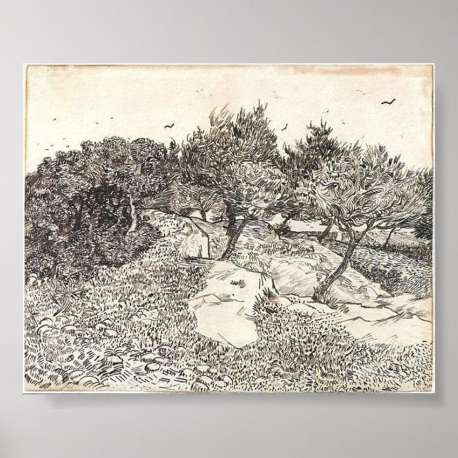Van Gogh - Olive Träd Poster (Framsidan)