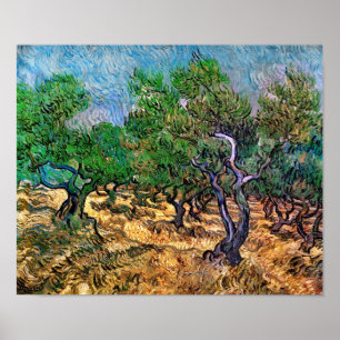 Van Gogh - Olivlund Poster