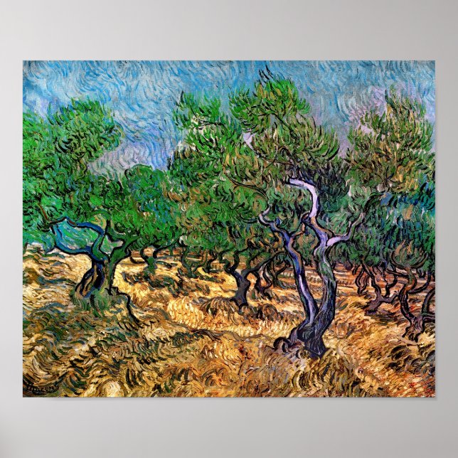 Van Gogh - Olivlund Poster (Framsidan)
