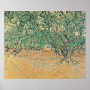 Van Gogh Olivlund - Salvia Grön Naturkonst Poster