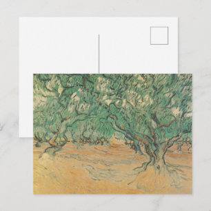 Van Gogh Olivlund - Salvia Grön Naturkonst Vykort
