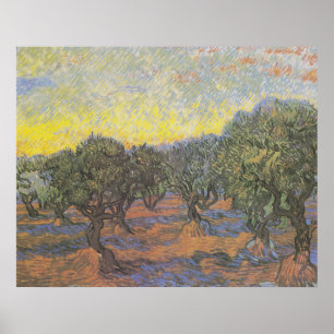 Van Gogh Olivträd Gul Himmel Konst Poster