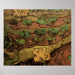 Van Gogh Olivträd Mot en Kulle Poster