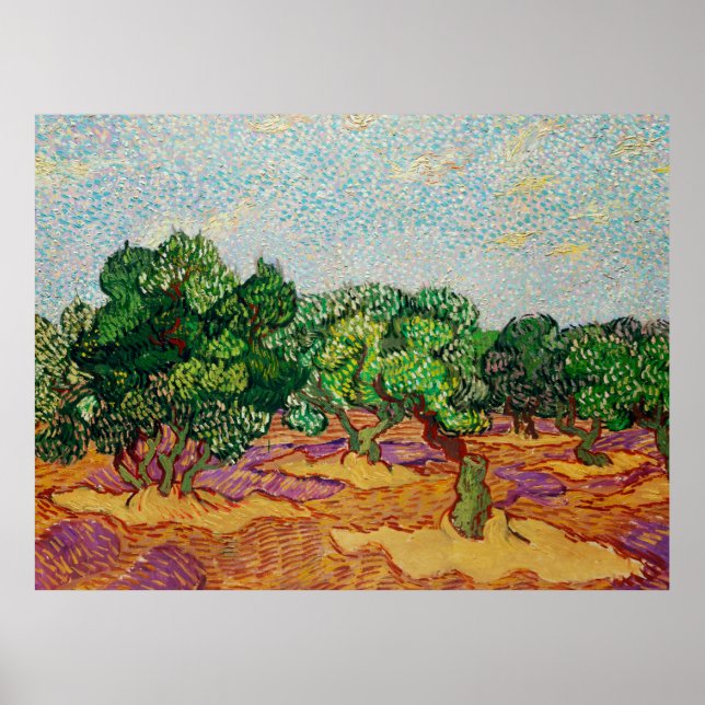 Van Gogh - Olivträd,  Poster (Framsidan)