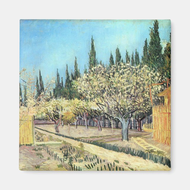 Van Gogh Orchard i Blommar, född av Cypresses Magnet (Framsidan)