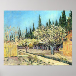 Van Gogh Orchard i Blommar, född av Cypresses Poster