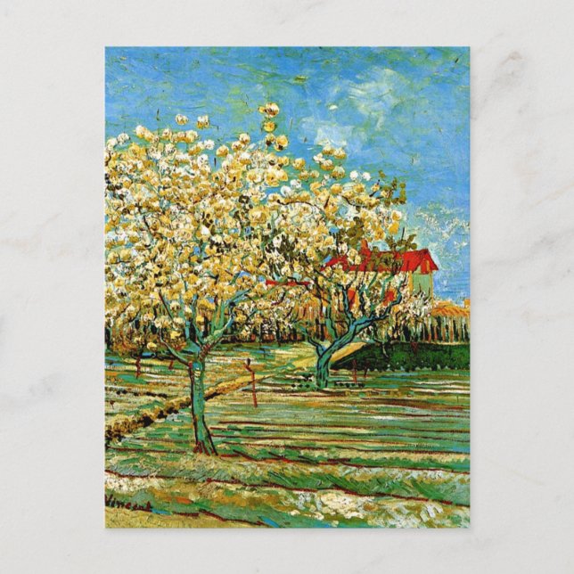 Van Gogh - Orchard i Blommar Vykort (Framsida)