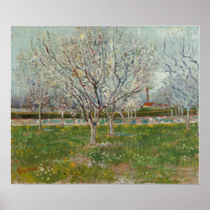 Van Gogh - Orchard in Blommar (Plum Träd) Poster