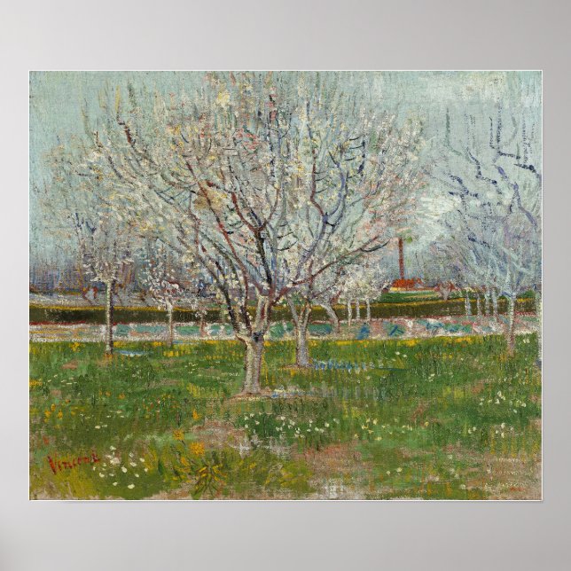 Van Gogh - Orchard in Blommar (Plum Träd) Poster (Framsidan)