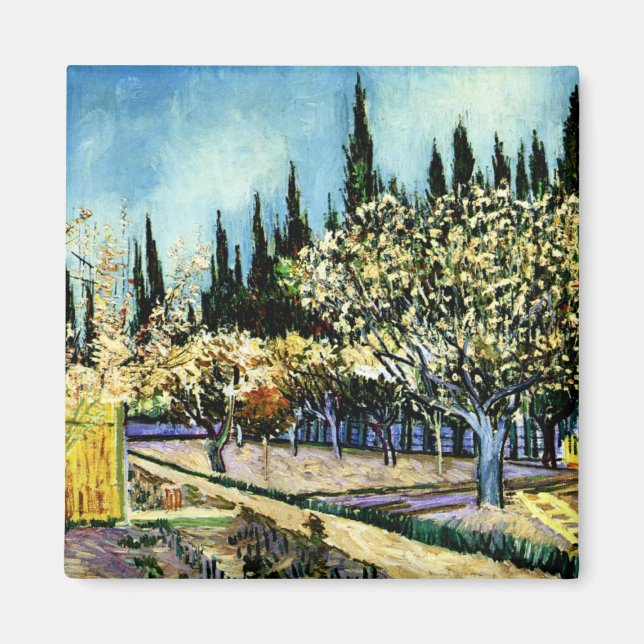 Van Gogh - Orchard omringad av Cypresses Magnet (Framsidan)