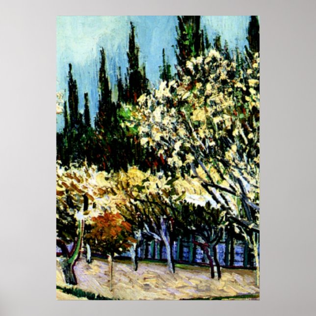 Van Gogh - Orchard omringad av Cypresses Poster (Framsidan)