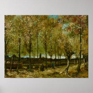 Van Gogh Poppelträd Nära Nuenen Landskap Poster