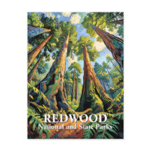 Van Gogh Redwoods Park California Affisch Stil