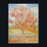 Van Gogh Rosa Peach Träd i Blommar vykort<br><div class="desc">Van Gogh Rosa Peach Träd i Blommar vykort. Oljemålning på arbetsyta från 1888. En del av Blommar Orchards-serien som inspirerats av den blommande frukten träd av Arles Frankrike, Rosa Peach Träd i Blommar är en av van Goghs populäraste landskapspresentationer. Van Gogh höll på att blomma frukt träd under våren, vilket...</div>