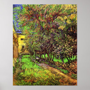 Van Gogh - S:t Pauls-sjukhusets trädgård Poster