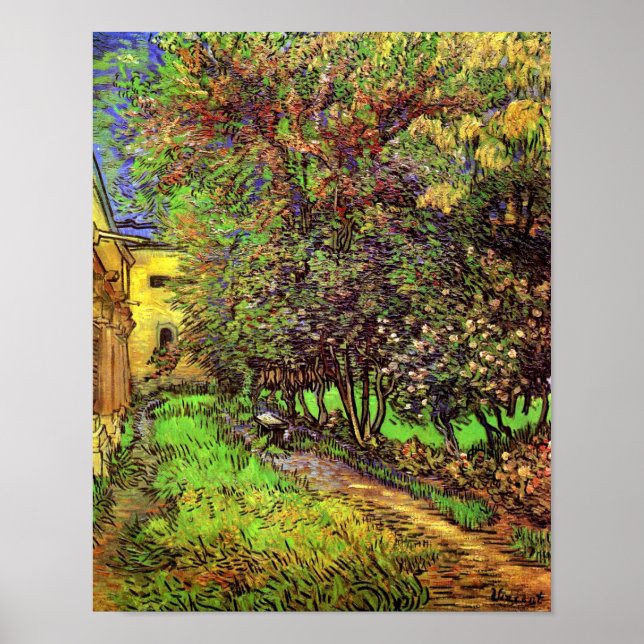 Van Gogh - S:t Pauls-sjukhusets trädgård Poster (Framsidan)