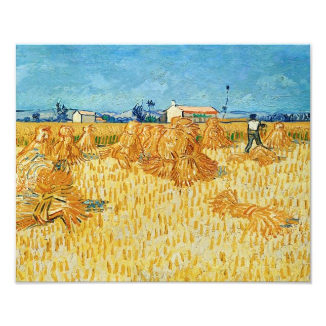 Van Gogh; Skörd i Provence Fototryck (Framsidan)