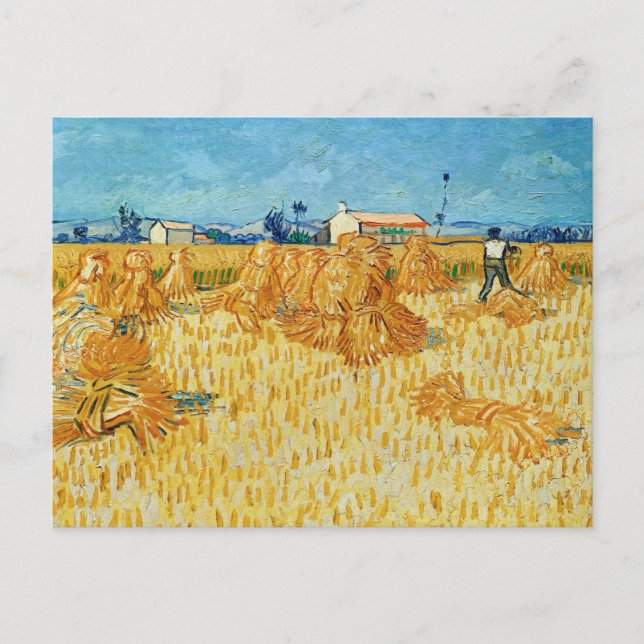 Van Gogh; Skörd i Provence Vykort (Framsida)