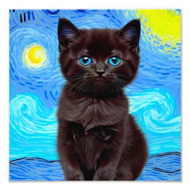 Van Gogh Starry Night Black Cat Fototryck (Framsidan)