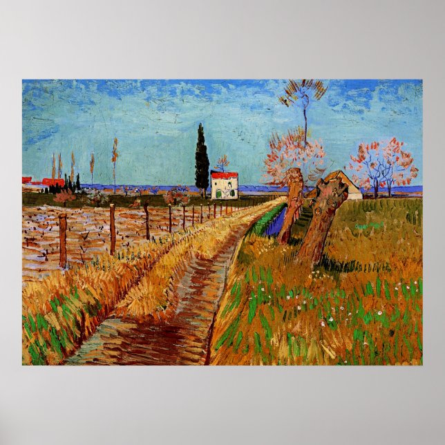 Van Gogh - Stig genom ett fält Poster (Framsidan)