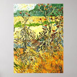 Van Gogh - Thistles, 1888 vintagar Poster