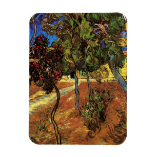 Van Gogh Träd i Garden, Saint Paul Hospital Magnet