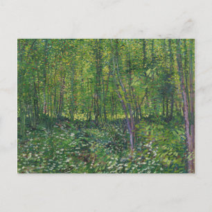 Van Gogh Träd och Undergrowth Vykort