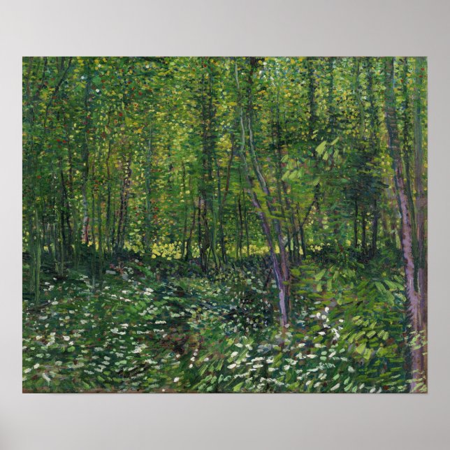 Van Gogh - Träd och undervegetation Poster (Framsidan)