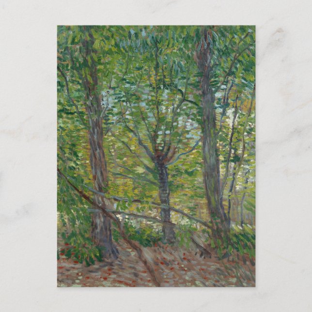 Van Gogh Träd och Underwood(F307) Fine Art Vykort (Framsida)