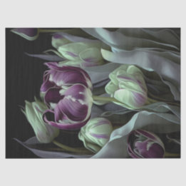 Van Gogh Tulips, Deep lila fancips-trädgård