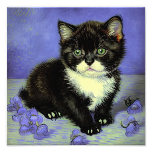 Van Gogh Tuxedo Kitten Fototryck