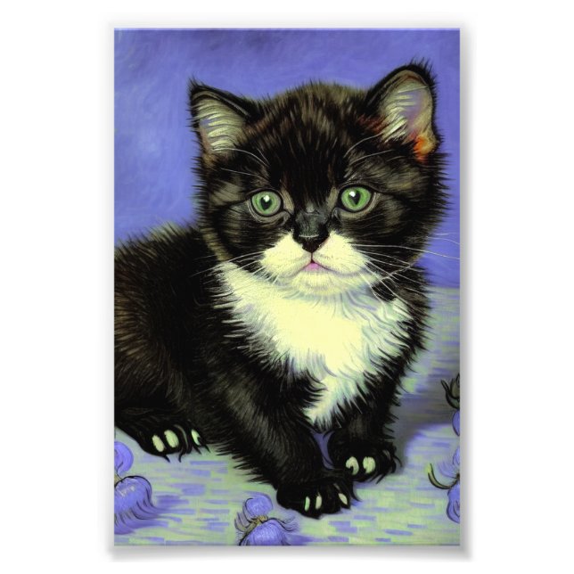 Van Gogh Tuxedo Kitten Fototryck (Framsidan)