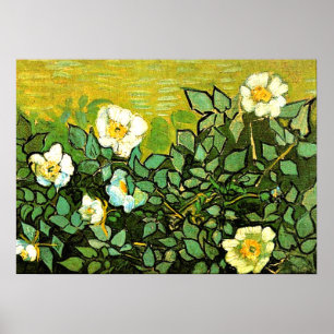 Van Gogh - Vild Ro, Van Gogh-blommigt Poster