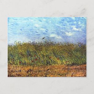 Van Gogh: Wheat Fält med Poppies och Lark Vykort