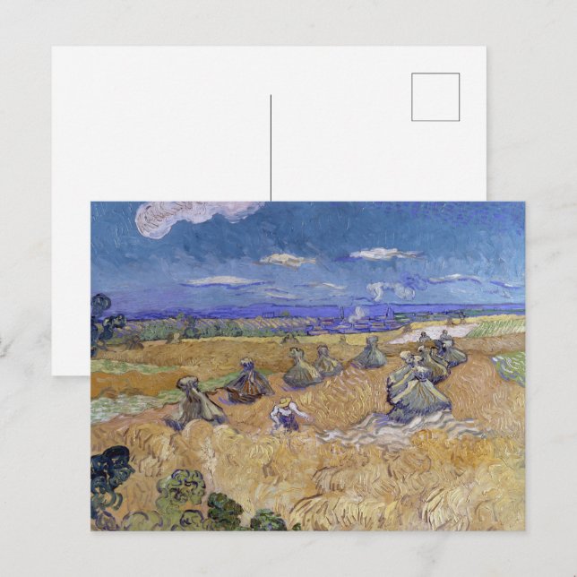 Van Gogh Wheat Field - Golden Harvest Art Vykort (Fram/baksida)