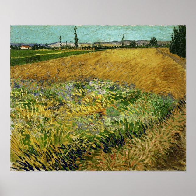 Van Gogh - Wheatfield Poster (Framsidan)