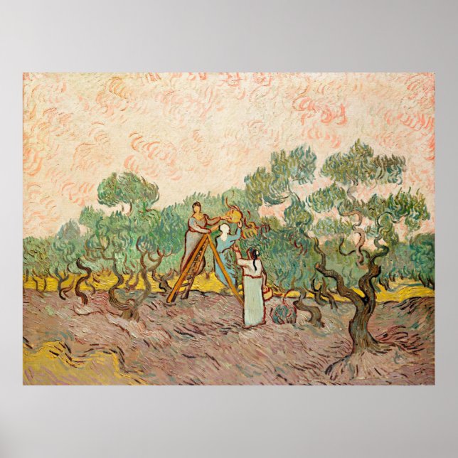 Van Gogh - Women Picking Olife Poster (Framsidan)