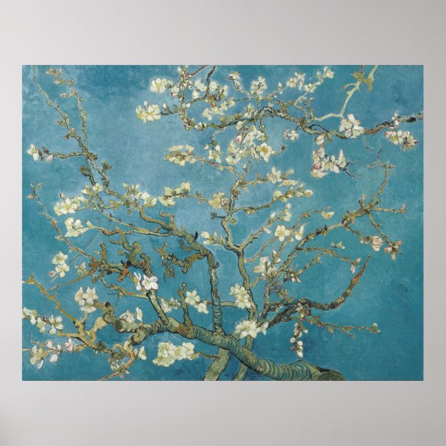 Van Gogh's Almond Blommar Poster (Framsidan)
