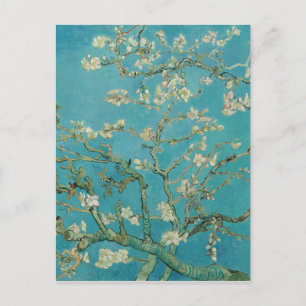 Van gogh's Almond Blommar Vykort