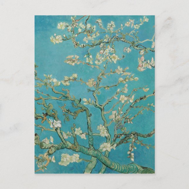 Van gogh's Almond Blommar Vykort (Framsida)